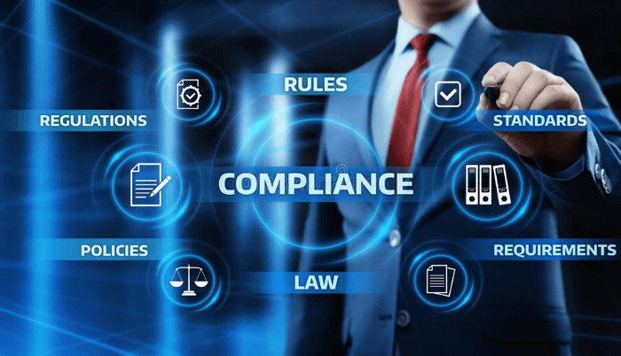 Adapt to Local Laws and Regulations
